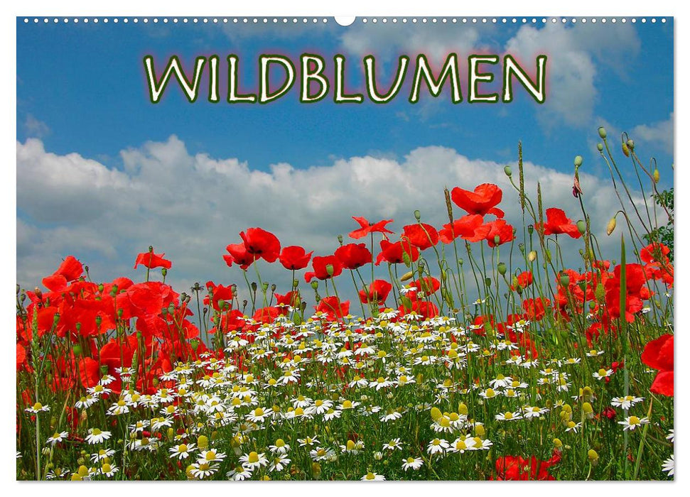 Wildblumen 2025 (CALVENDO Wandkalender 2025)