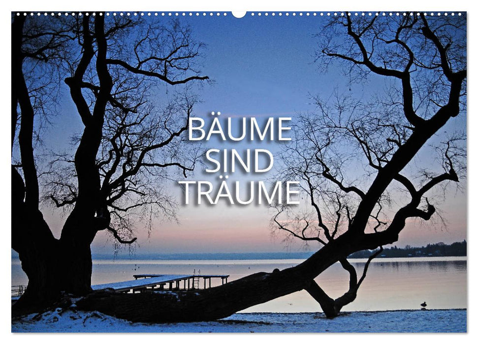 Bäume sind Träume (CALVENDO Wandkalender 2025)