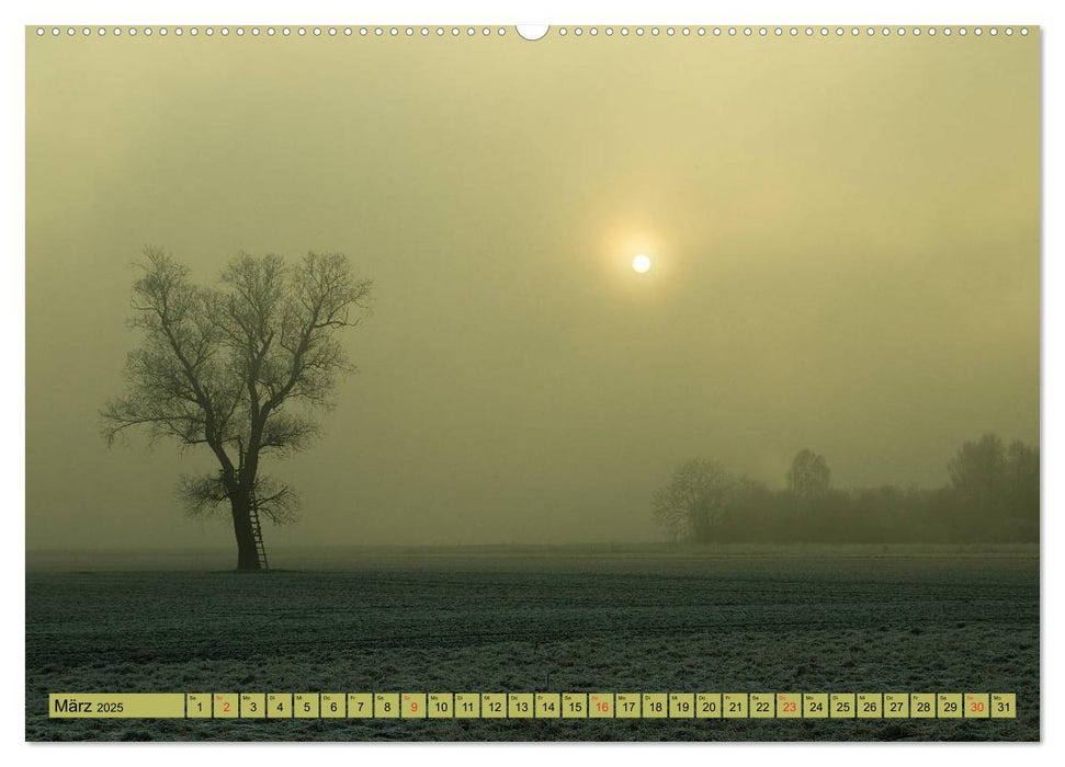 Bäume sind Träume (CALVENDO Wandkalender 2025)