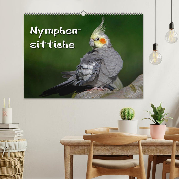 Nymphensittiche (CALVENDO Wandkalender 2025)