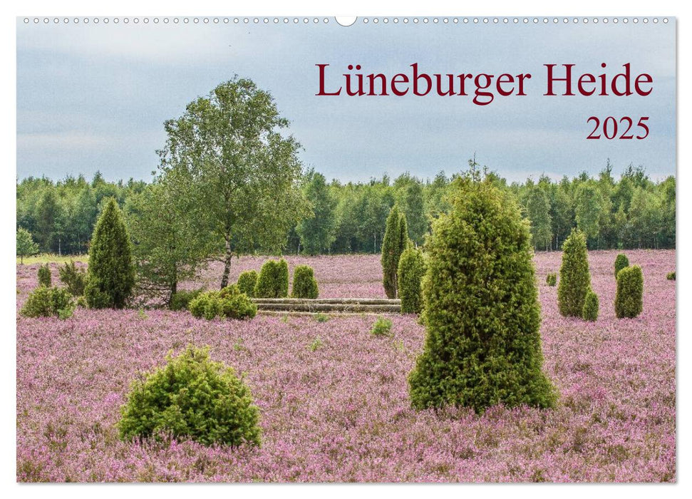 Lüneburger Heide (CALVENDO Wandkalender 2025)