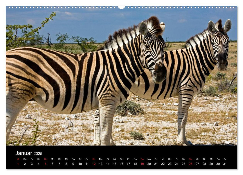 Namibia - Schöne Ansichten (CALVENDO Premium Wandkalender 2025)