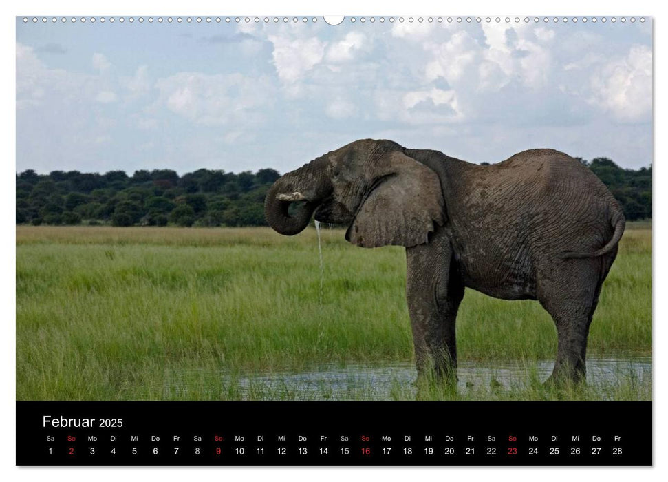 Namibia - Schöne Ansichten (CALVENDO Premium Wandkalender 2025)