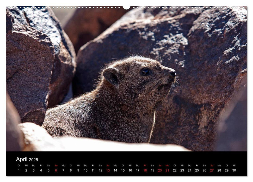 Namibia - Schöne Ansichten (CALVENDO Premium Wandkalender 2025)