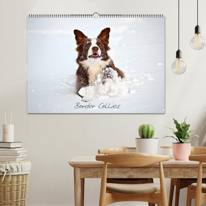 Border Collies (CALVENDO Wandkalender 2025)