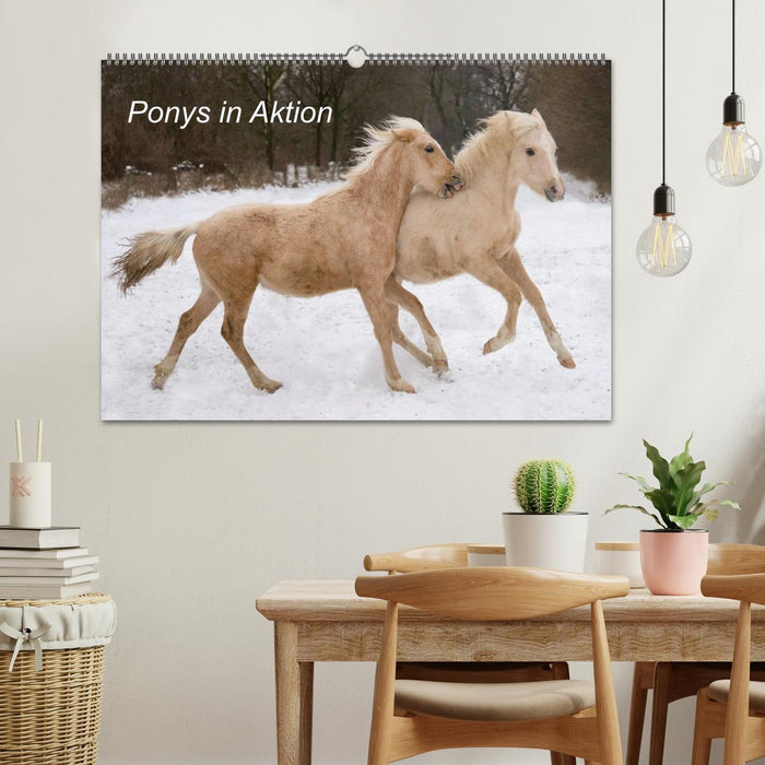 Ponys in Aktion (CALVENDO Wandkalender 2025)