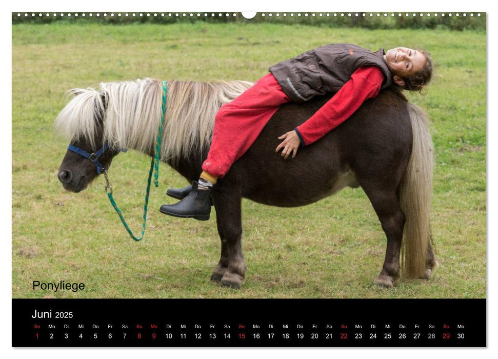 Ponys in Aktion (CALVENDO Wandkalender 2025)