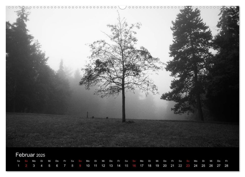 Bäume trees 2025 (CALVENDO Premium Wandkalender 2025)