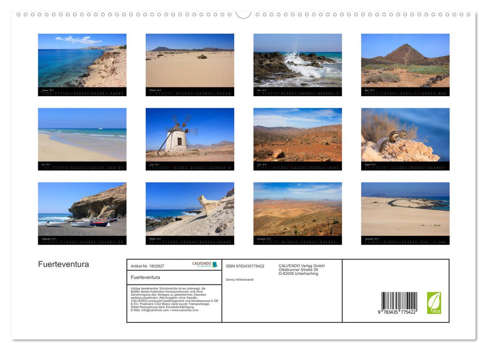 Fuerteventura (CALVENDO Premium Wandkalender 2025)