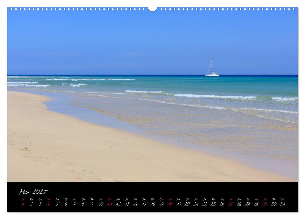 Fuerteventura (CALVENDO Premium Wandkalender 2025)