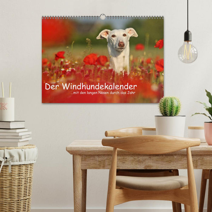 Der Windhundekalender (CALVENDO Wandkalender 2025)