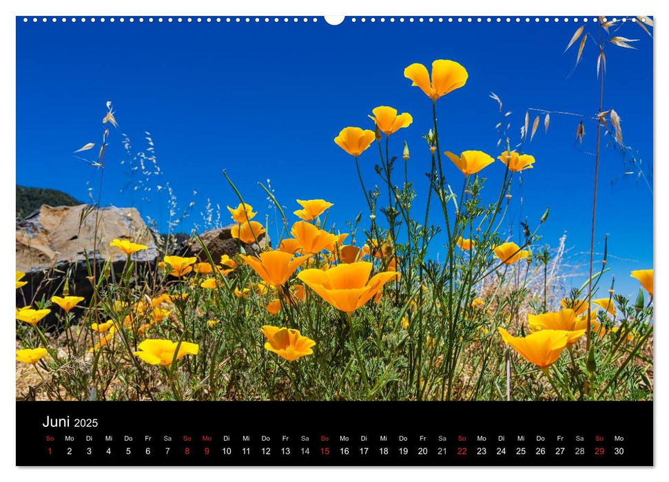 Teneriffa (CALVENDO Premium Wandkalender 2025)