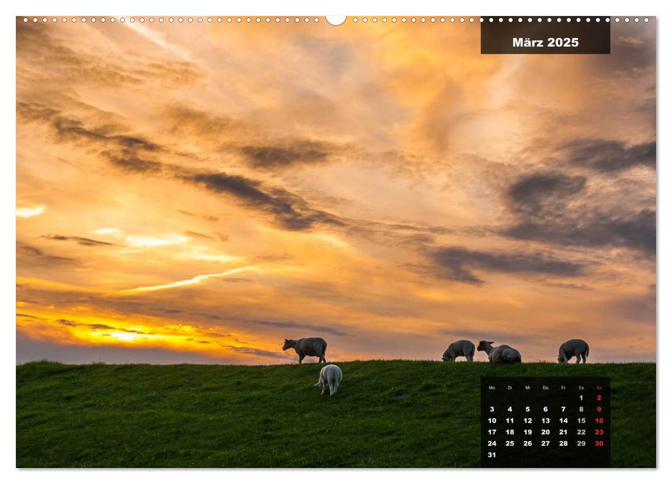 Abends in Ostfriesland (CALVENDO Premium Wandkalender 2025)