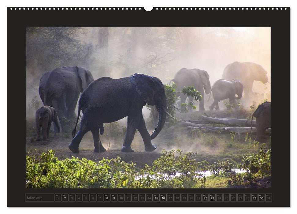 Kenia (CALVENDO Premium Wandkalender 2025)