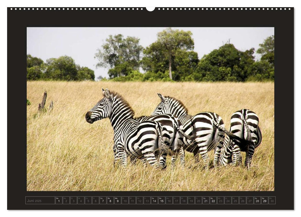 Kenia (CALVENDO Premium Wandkalender 2025)