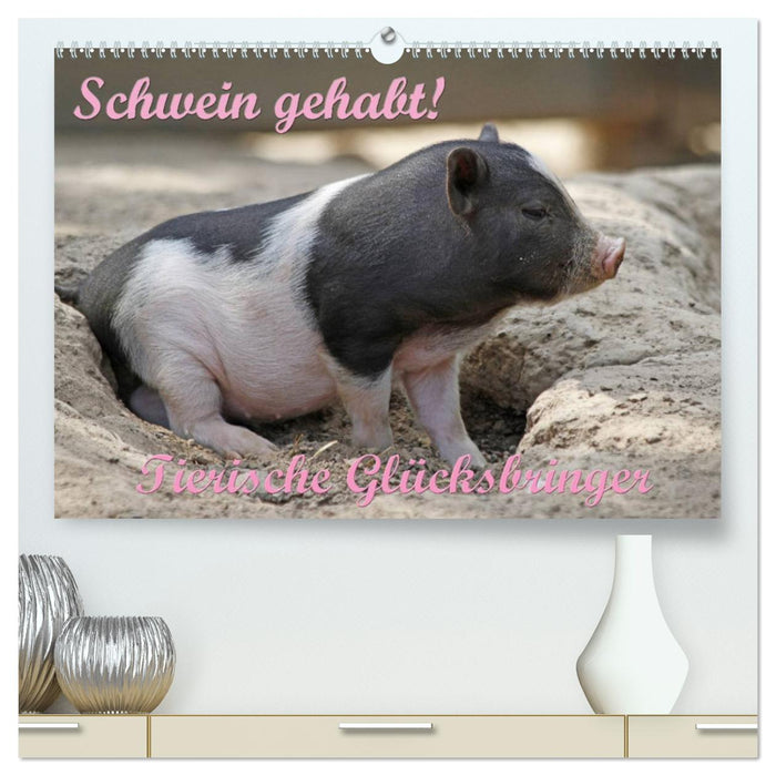 Schwein gehabt! (CALVENDO Premium Wandkalender 2025)