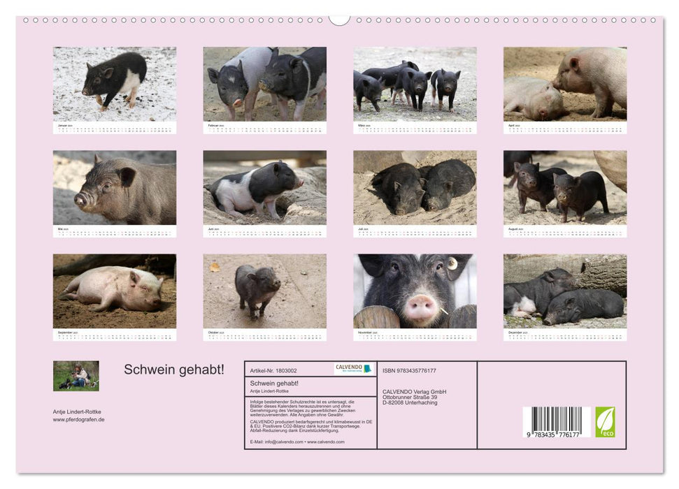 Schwein gehabt! (CALVENDO Premium Wandkalender 2025)