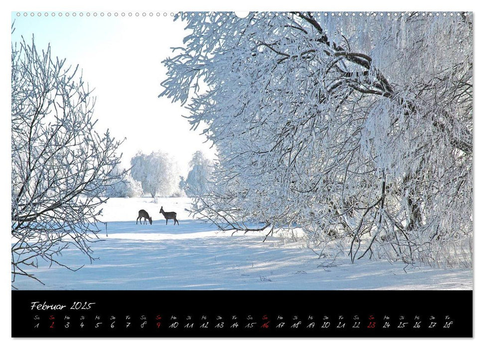 RHÖN = SCHÖN (CALVENDO Premium Wandkalender 2025)