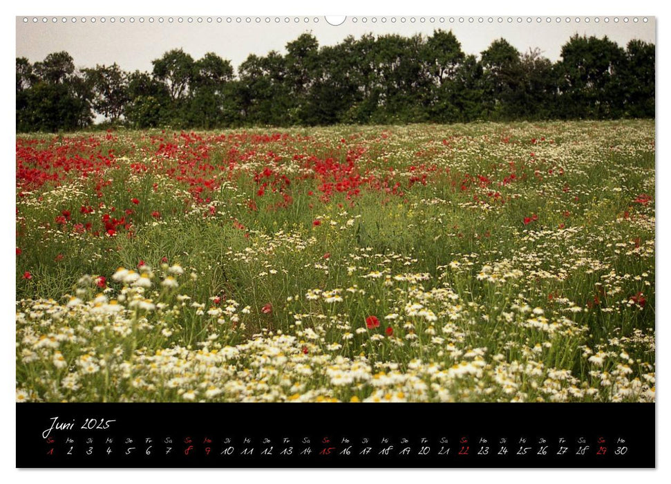 RHÖN = SCHÖN (CALVENDO Premium Wandkalender 2025)