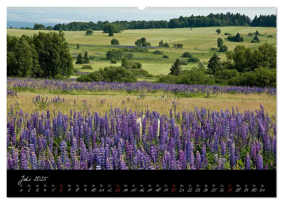 RHÖN = SCHÖN (CALVENDO Premium Wandkalender 2025)