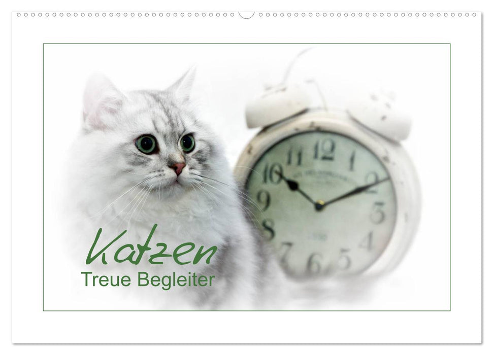 Katzen – Treue Begleiter (CH - Version) (CALVENDO Wandkalender 2025)