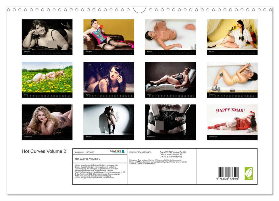 Hot Curves Volume 2 (CALVENDO Wandkalender 2025)