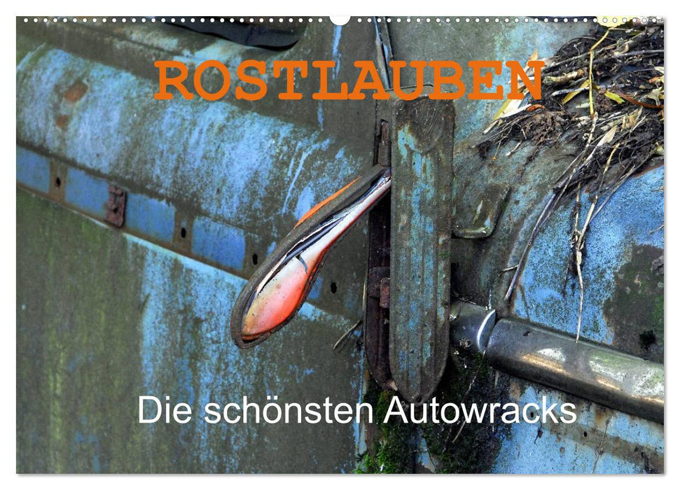 ROSTLAUBEN Die schönsten Autowracks (CALVENDO Wandkalender 2025)