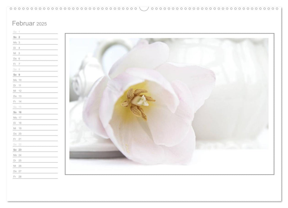Blütenpracht, nicht nur ein Geburtstagskalender (CALVENDO Wandkalender 2025)