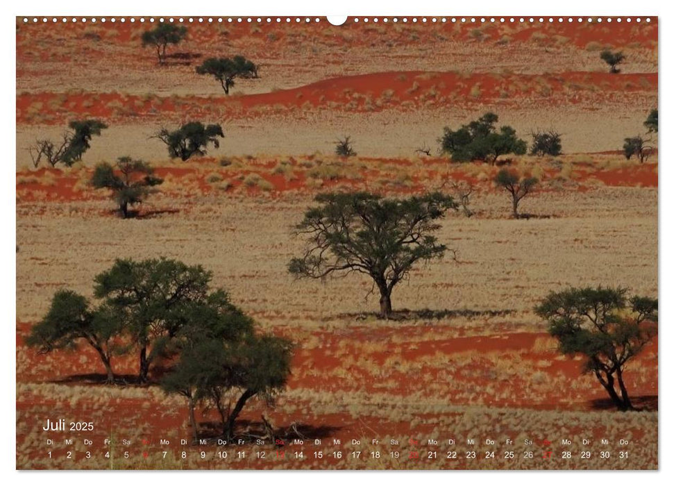 Afrikanische Bäume (CALVENDO Premium Wandkalender 2025)