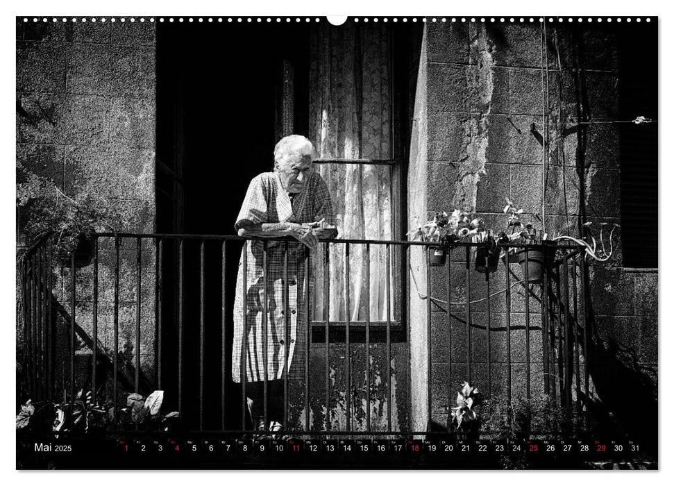 Streetlife Barcelona (CALVENDO Premium Wandkalender 2025)