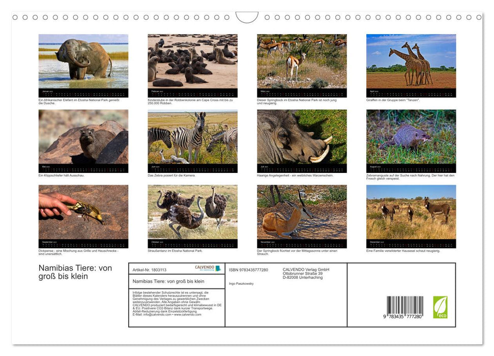 Namibias Tiere: von groß bis klein (CALVENDO Wandkalender 2025)