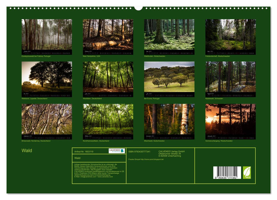 Wald (CALVENDO Premium Wandkalender 2025)