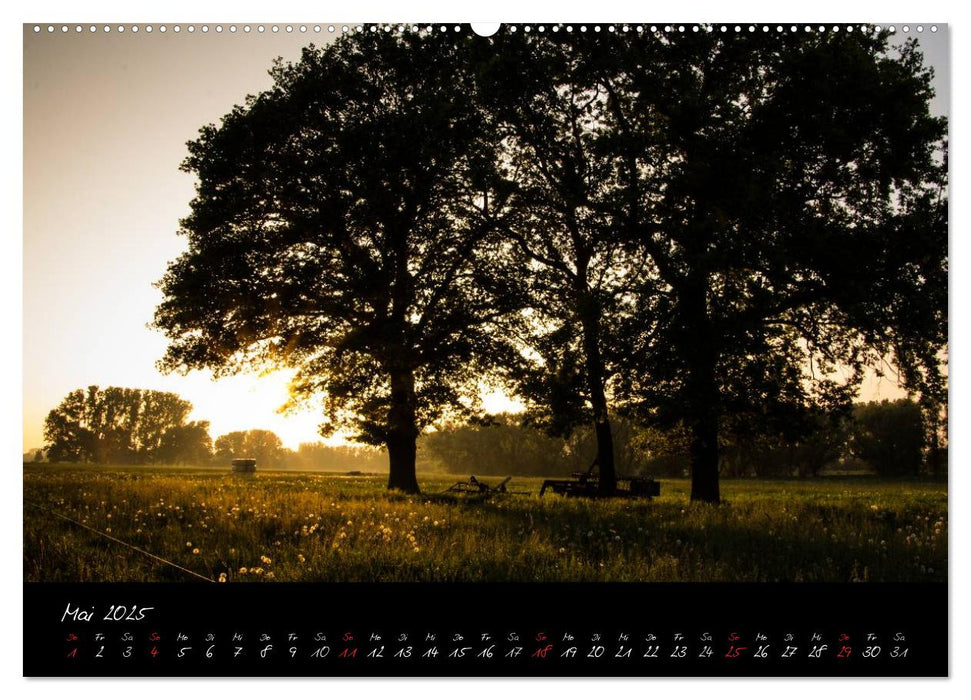 Wald (CALVENDO Premium Wandkalender 2025)