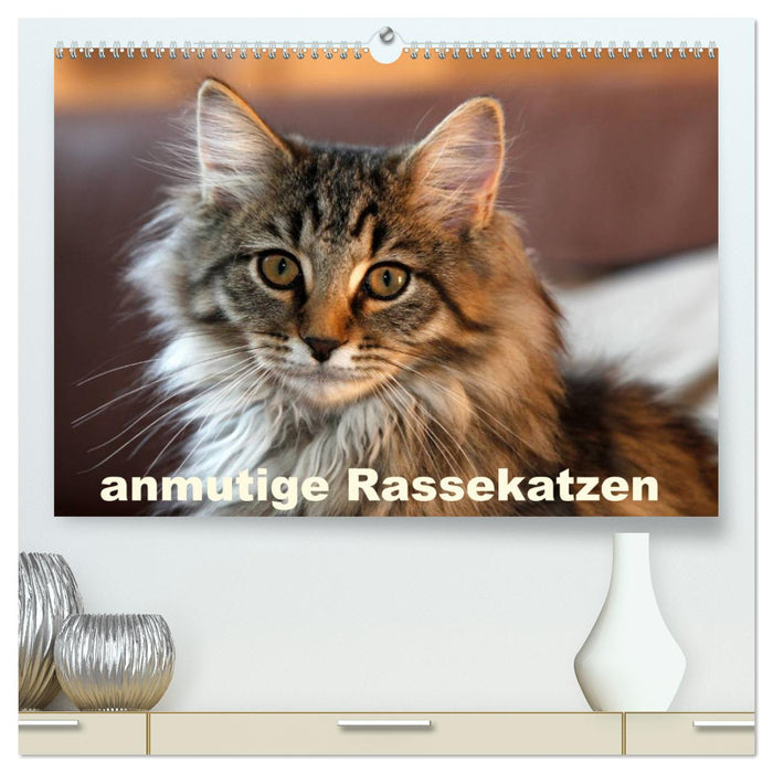 anmutige Rassekatzen (CALVENDO Premium Wandkalender 2025)