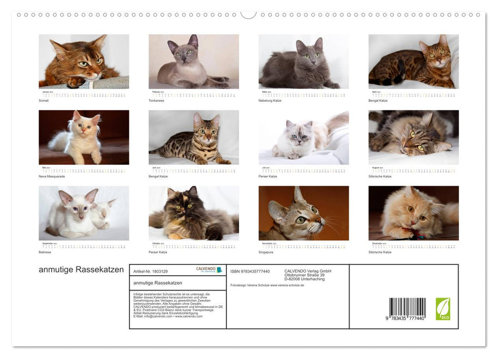 anmutige Rassekatzen (CALVENDO Premium Wandkalender 2025)