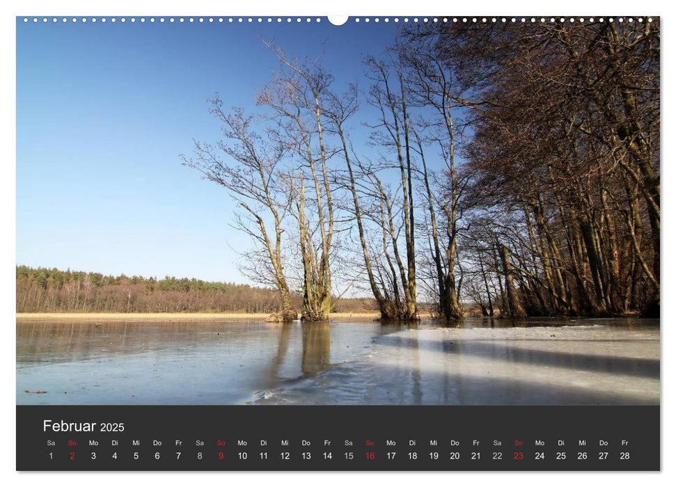 Mecklenburg-Vorpommern (CALVENDO Premium Wandkalender 2025)