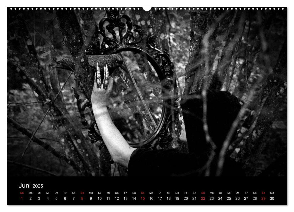 Hexen (CALVENDO Premium Wandkalender 2025)