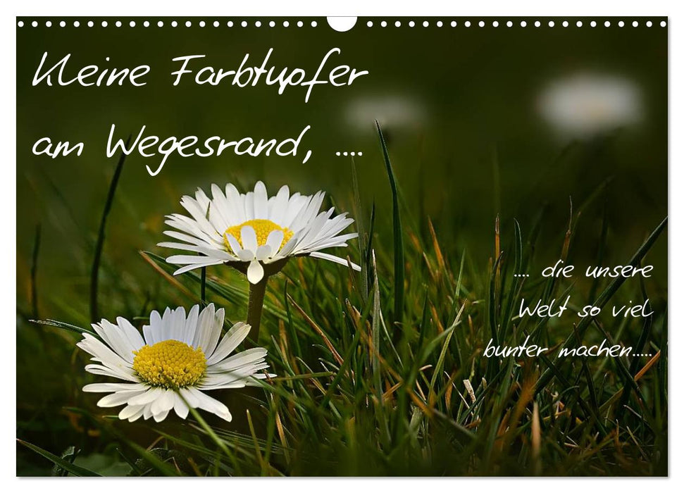 kleine Farbtupfer am Wegesrand (CALVENDO Wandkalender 2025)