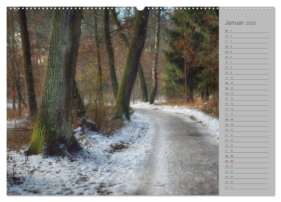 Planungskalender Märchenwald 2025 (CALVENDO Premium Wandkalender 2025)