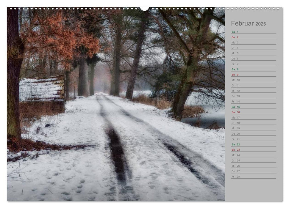 Planungskalender Märchenwald 2025 (CALVENDO Premium Wandkalender 2025)