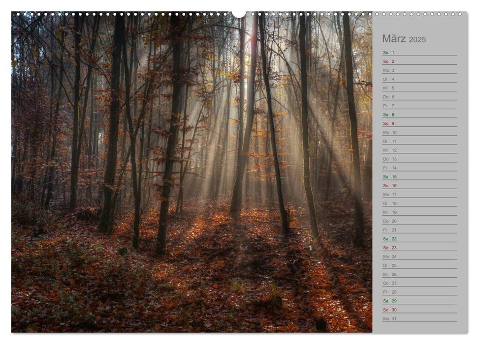 Planungskalender Märchenwald 2025 (CALVENDO Premium Wandkalender 2025)