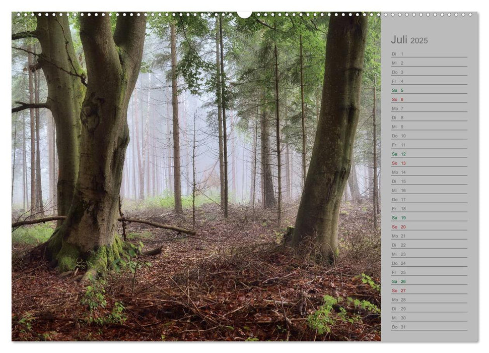 Planungskalender Märchenwald 2025 (CALVENDO Premium Wandkalender 2025)