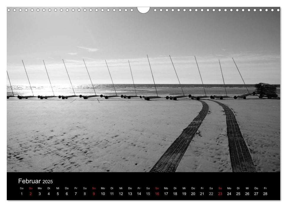 BLACK 'N WHITE (CALVENDO Wandkalender 2025)