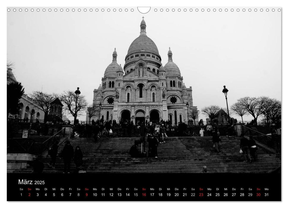 BLACK 'N WHITE (CALVENDO Wandkalender 2025)