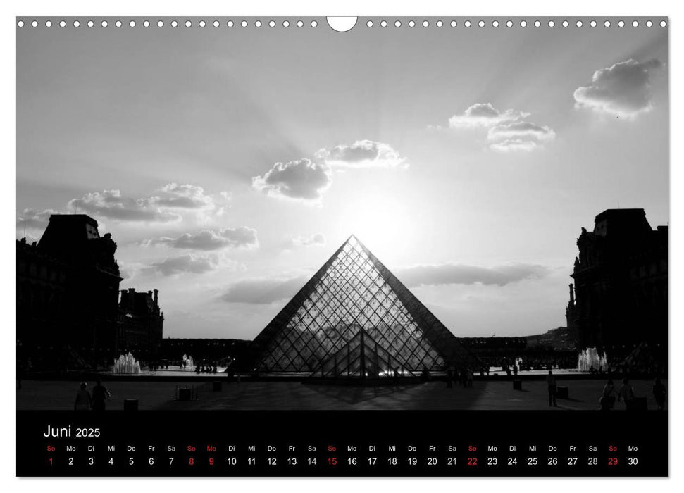 BLACK 'N WHITE (CALVENDO Wandkalender 2025)