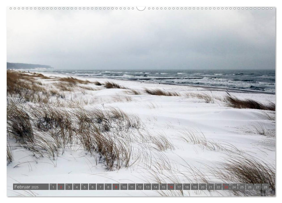 Ostseebad Warnemünde (CALVENDO Premium Wandkalender 2025)