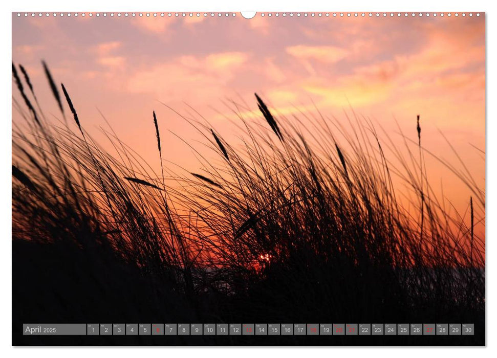 Ostseebad Warnemünde (CALVENDO Premium Wandkalender 2025)