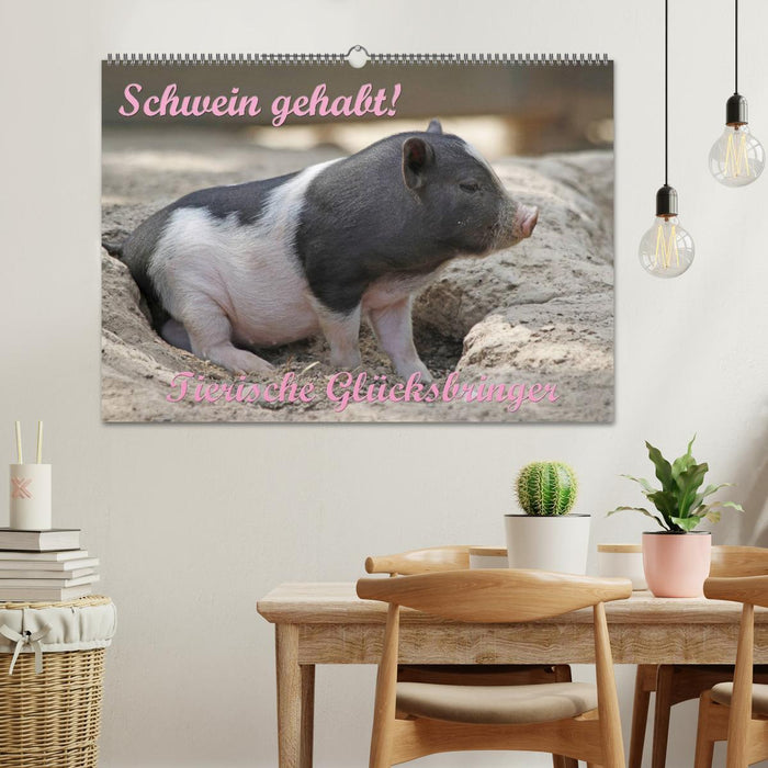 Schwein gehabt! (CALVENDO Wandkalender 2025)