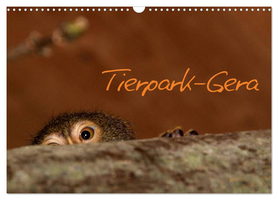 Tierpark-Gera (CALVENDO Wandkalender 2025)