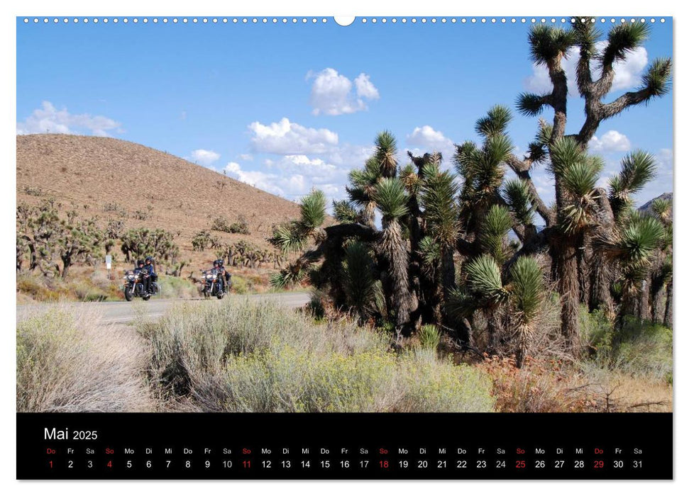 Born to be Wild - Mit der Harley durch den Südwesten der USA (CALVENDO Premium Wandkalender 2025)